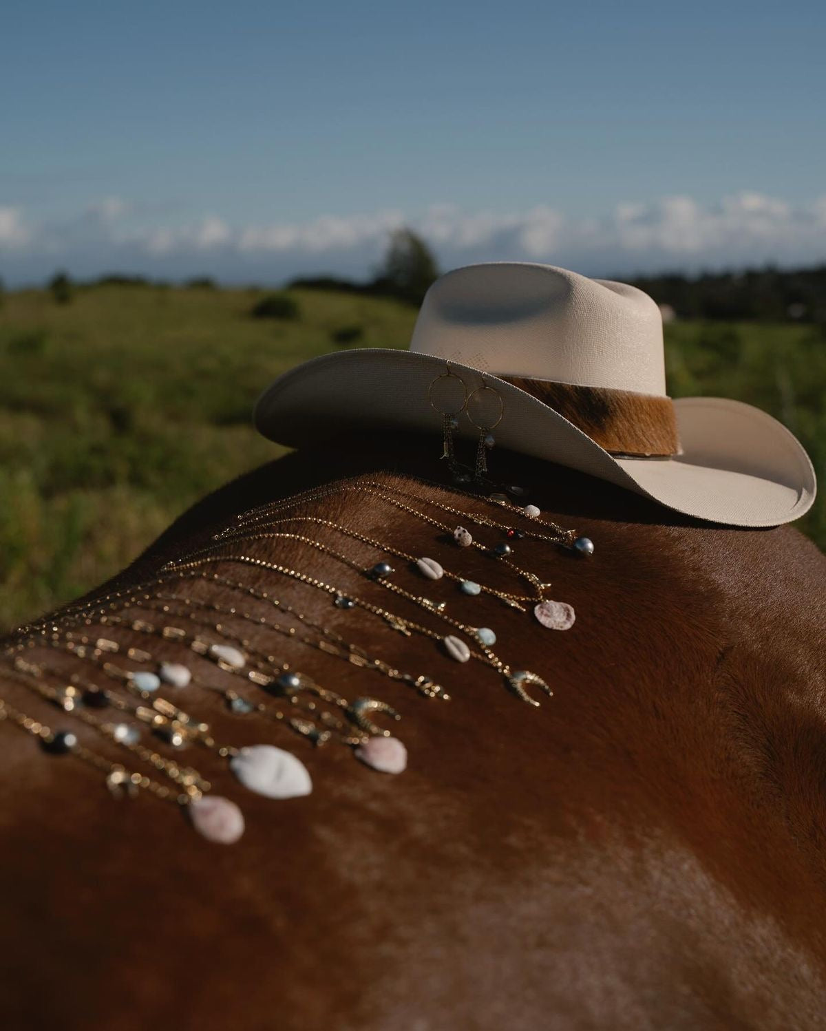 Howdy Honey